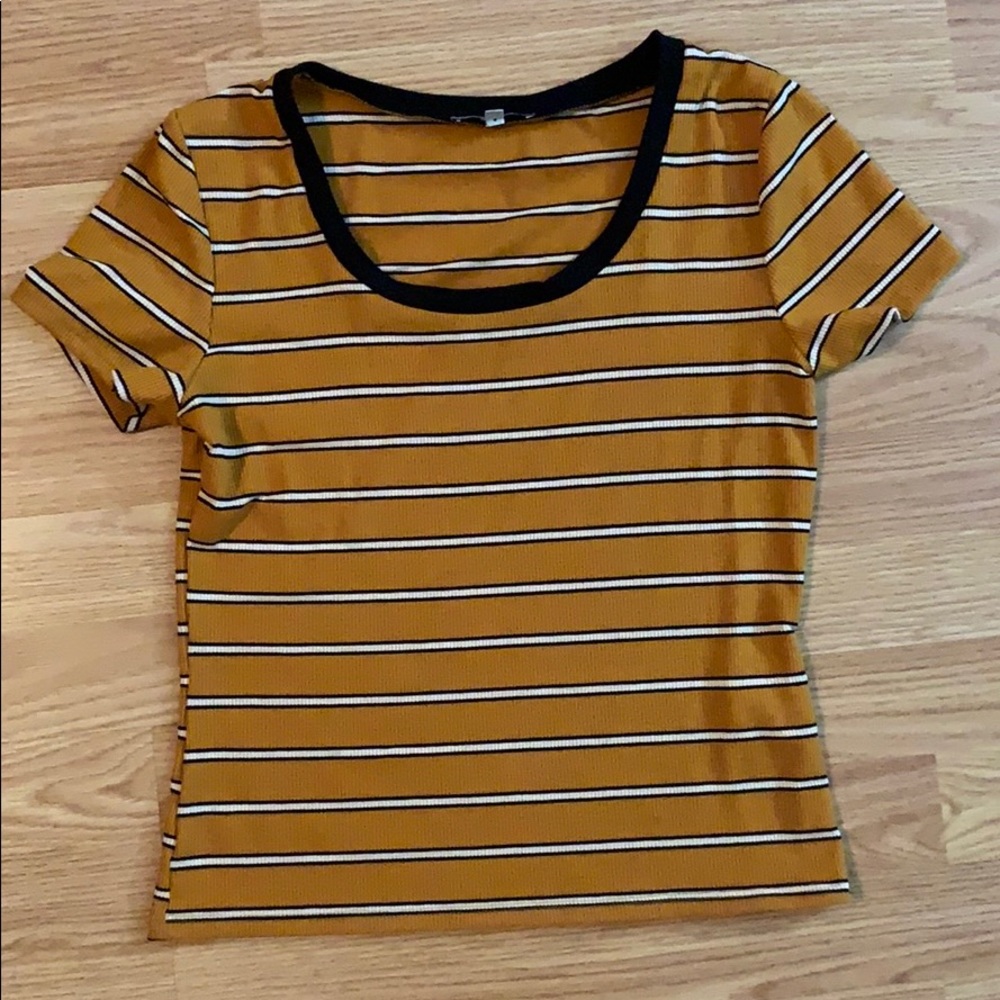 Burnt orange with black and white stripes crop top